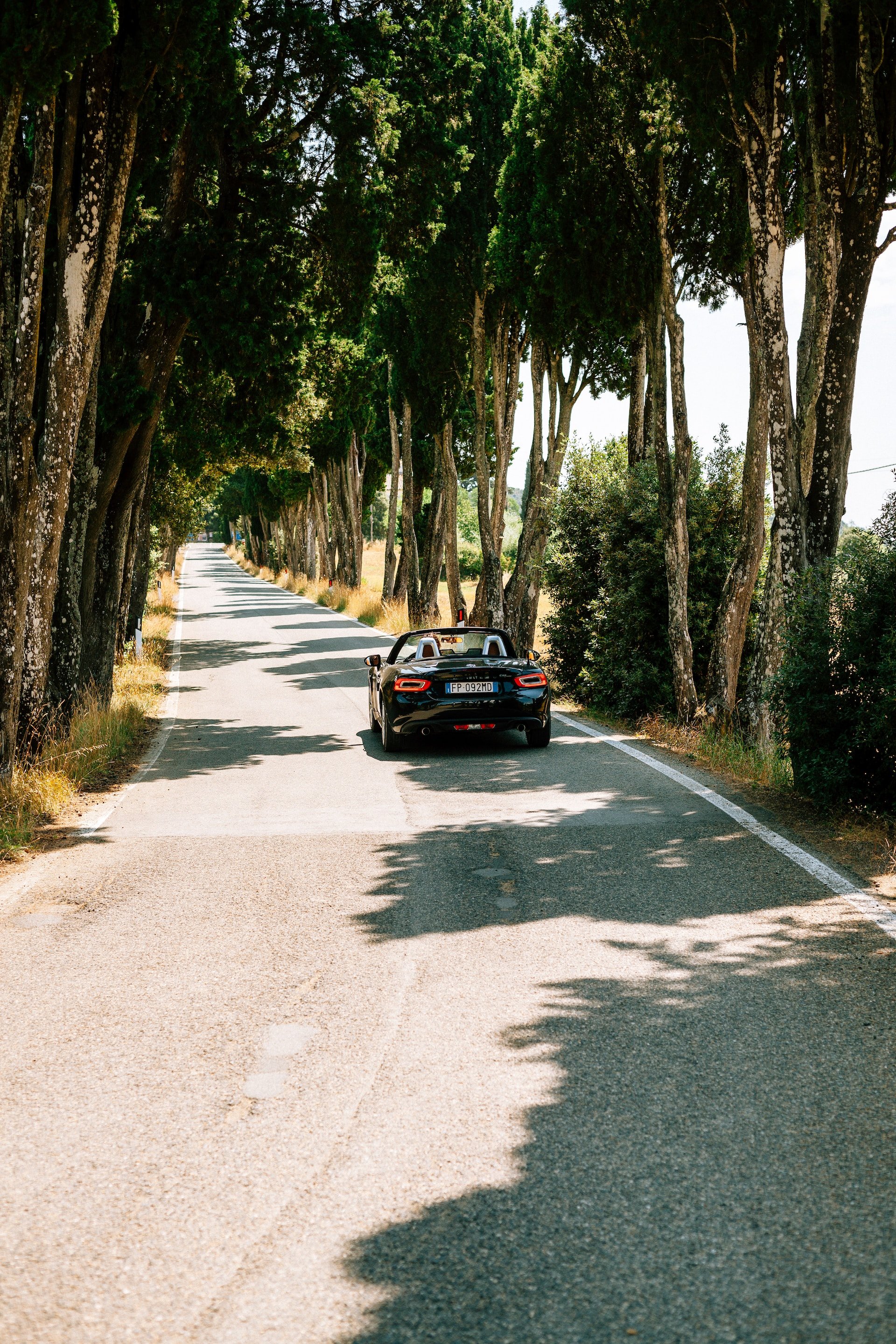 Wedding Website Design, Digital Wedding Stationery, Web Design and Branding for Wedding Professionals | Avelã White. Convertible sports car driving down a tree-lined rural road.